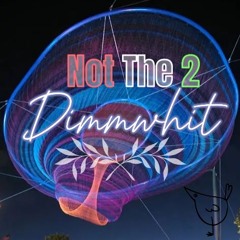 Not The 2