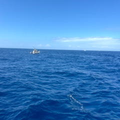 Gone Fishing (You Keep On)