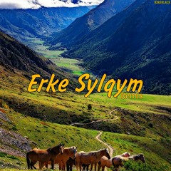 Niko Black - Erke Sylqym(Remix)