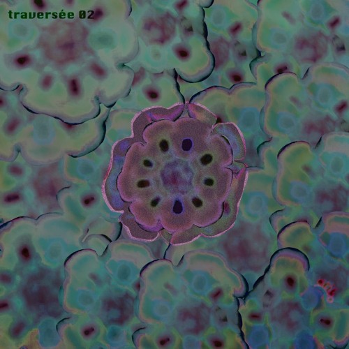 Premiere: RONI - 911 | traverse