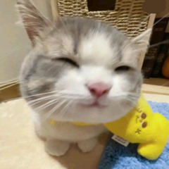 Shoot my d (Prod.Joppe)