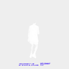 reconnect us (Ruth Danger Flip) [feat. Graduating Life & jcrumb]