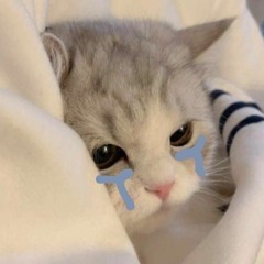 chít rùi :(( mình đã lớ đóng tune bài nài mất ùi :))