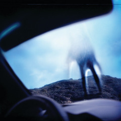 Zero Sum (Album Version)