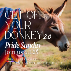 Get Off Your Donkey: Joseph's...Robe?