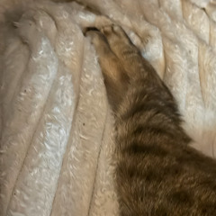 (it can't be) January 2026