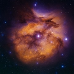 Something P. Novachance