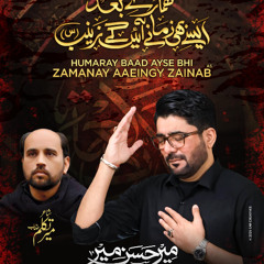 Zamanay Ayenge Zainab (s.a)  --  Mir Hasan Mir  --  2025