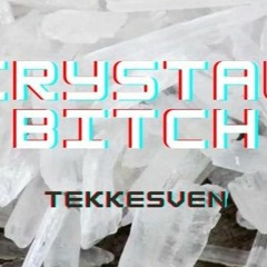 Crystal Meth Bitch