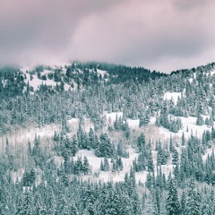 Field Journal Companion - Winter 2020/21