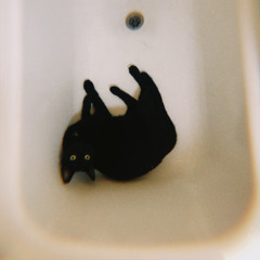 Free Kitten @ Human Club