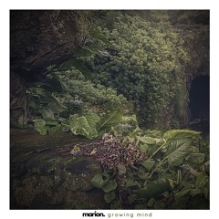 MARION - Growing Mind