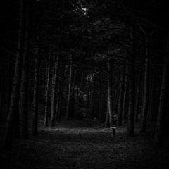 Darkness In The Woodz © (Prod. Shuka4Beats)