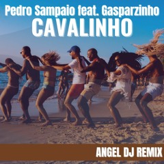 PEDRO SAMPAIO FEAT GASPARZINHO - CAVALINHO (ANGEL DJ REMIX) download