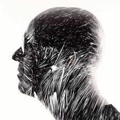Bélgica 2020 - Stephan Bodzin
