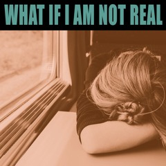 What If I Am Not Real