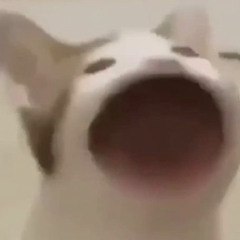 Stafa - Tetris (feat. Ares).mp3