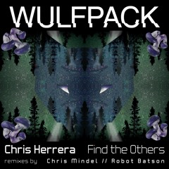 Chris Herrera - Find The Others (Chris Mindel Remix) PREVIEW