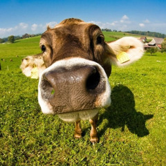 I Can't Run Away From U [Malkmedd Cover]