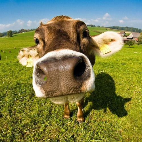 I Can't Run Away From U [Malkmedd Cover]