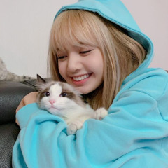 NST VIETMIX XUNG - CĂNG 2025 - CÓ VUI CÓ BUỒN - ĐẠT LUCAS MIX