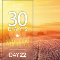 417 Hz + 639 Hz 》Remove Negative Blocks & Brings Love in Life | 30DAYS ⚕ Solfeggio Frequencies DAY22