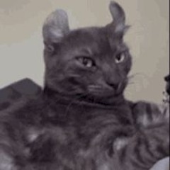 U 96 - Club Bizarre (sped up)