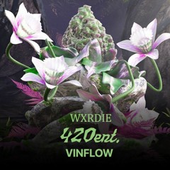 Vinflow - Layer Rmx