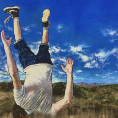 Cowboy Nudes (Geese) by flynn