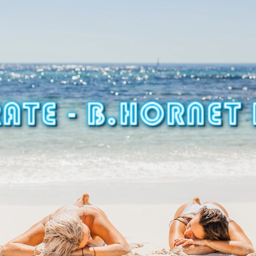 Eric Prydz - Generate (B.Hornet Remix)