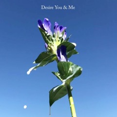 Desire You&ME -Alternate Ver-