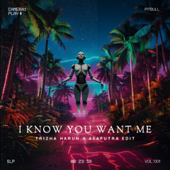PITBUL - I KNOW YOU WANT ME (Trizha Harun & Asaputra Edit)