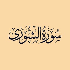 سورة الشورى.. القارئ ياسر الزيلعي