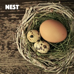 Nest