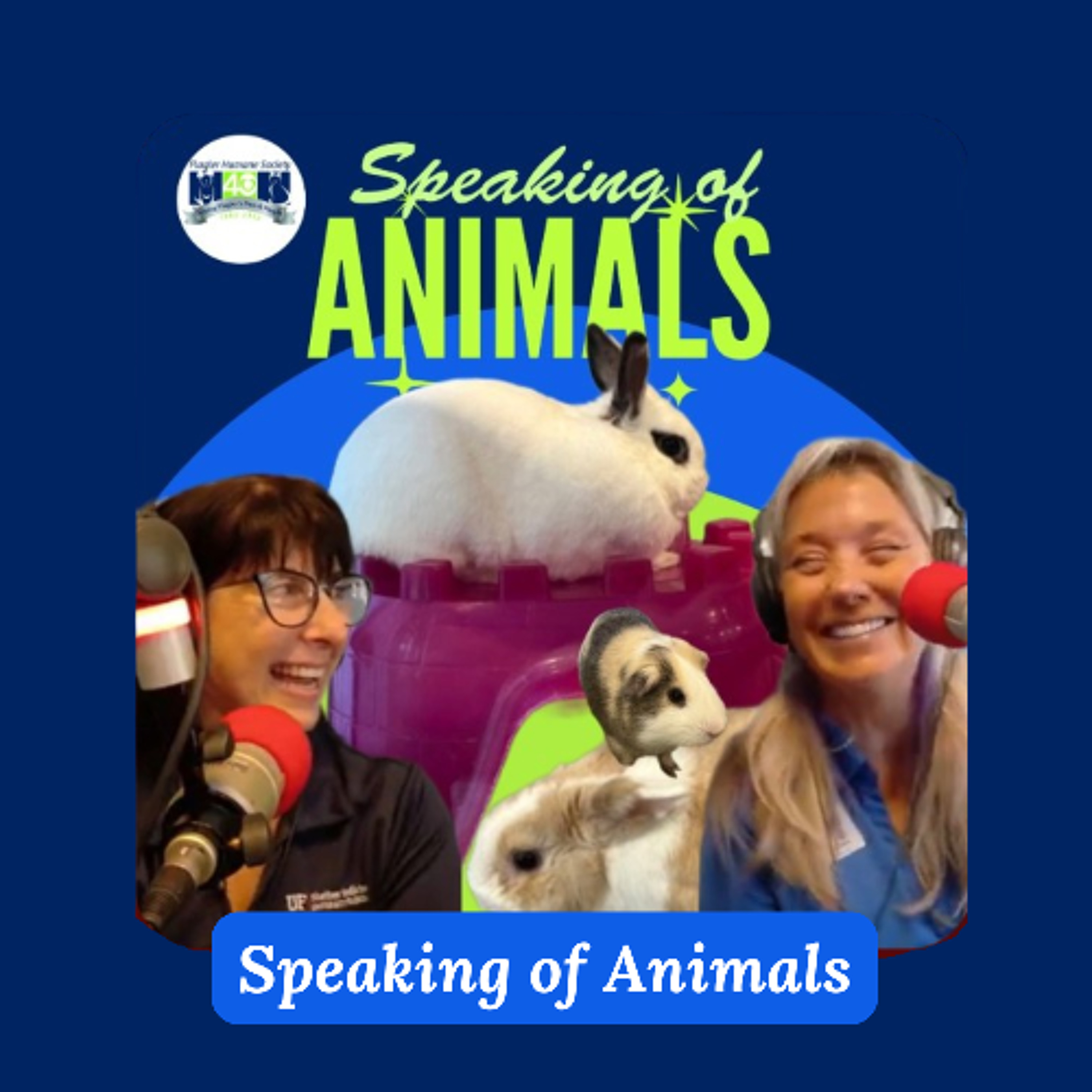 Speaking Of Animals 120625 episode artwork