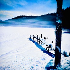14JAN25//geronimo@goodbye24/rabarbraland120125//