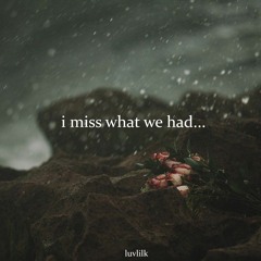 I Miss What We Had...