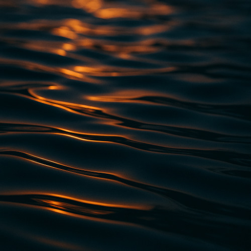 November will take us all apart 2 253