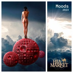 FM Moods 2023