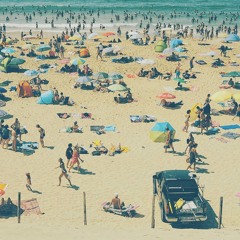 flamingo zamperoni - sun of a beach
