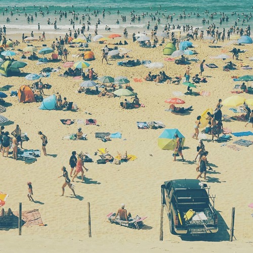 flamingo zamperoni - sun of a beach