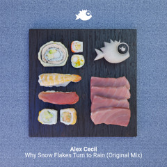 "Why Snow Flakes Turn to Rain" (Original Mix)