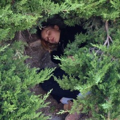 الفصل الثاني: انسجام