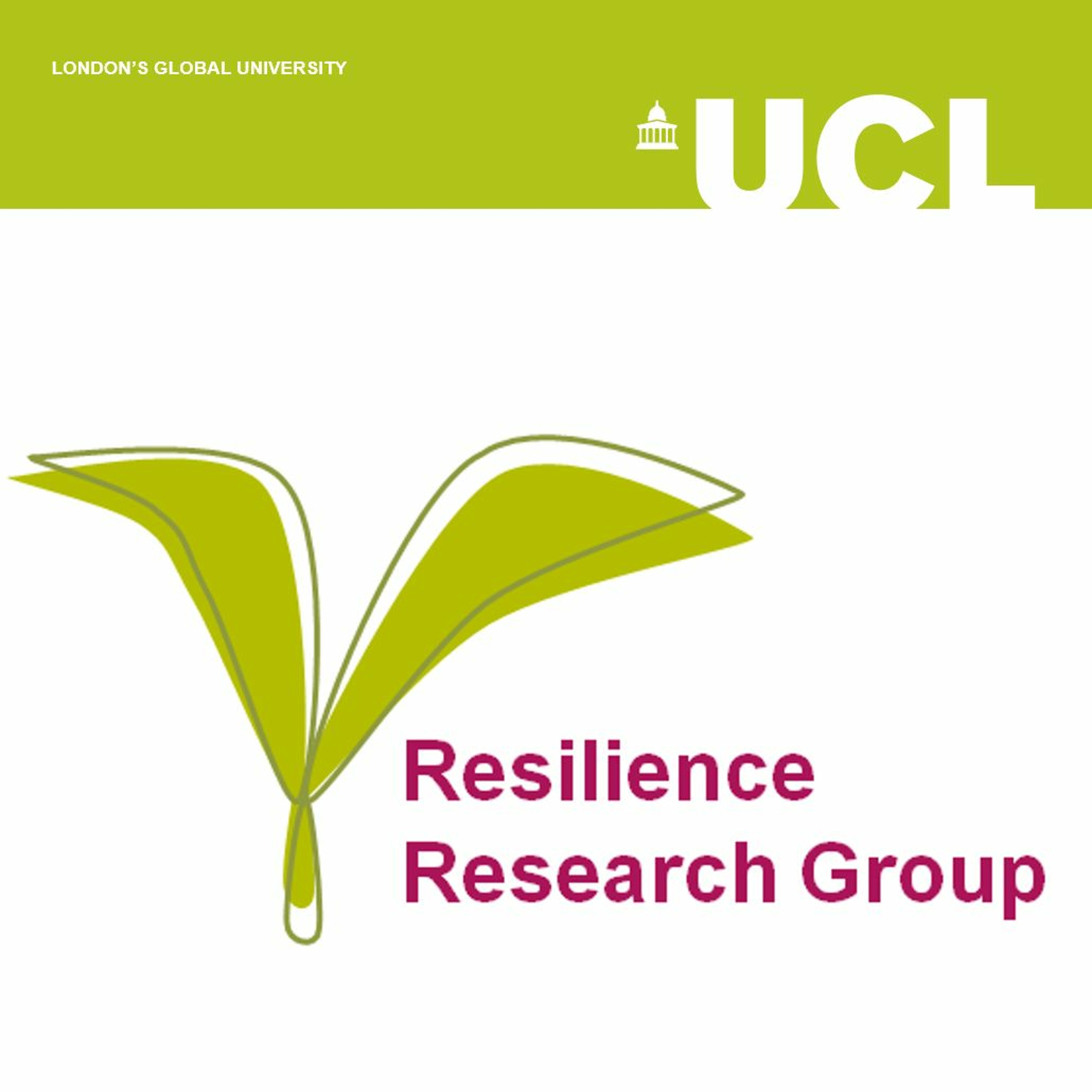 Resilience Research Group: Resilience in adulthood and older age
