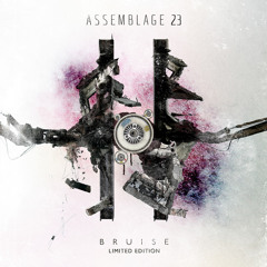 Assemblage