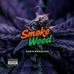 Turtleonelife "marijuana"