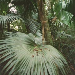 Tales from the Soundbar Vol. 1