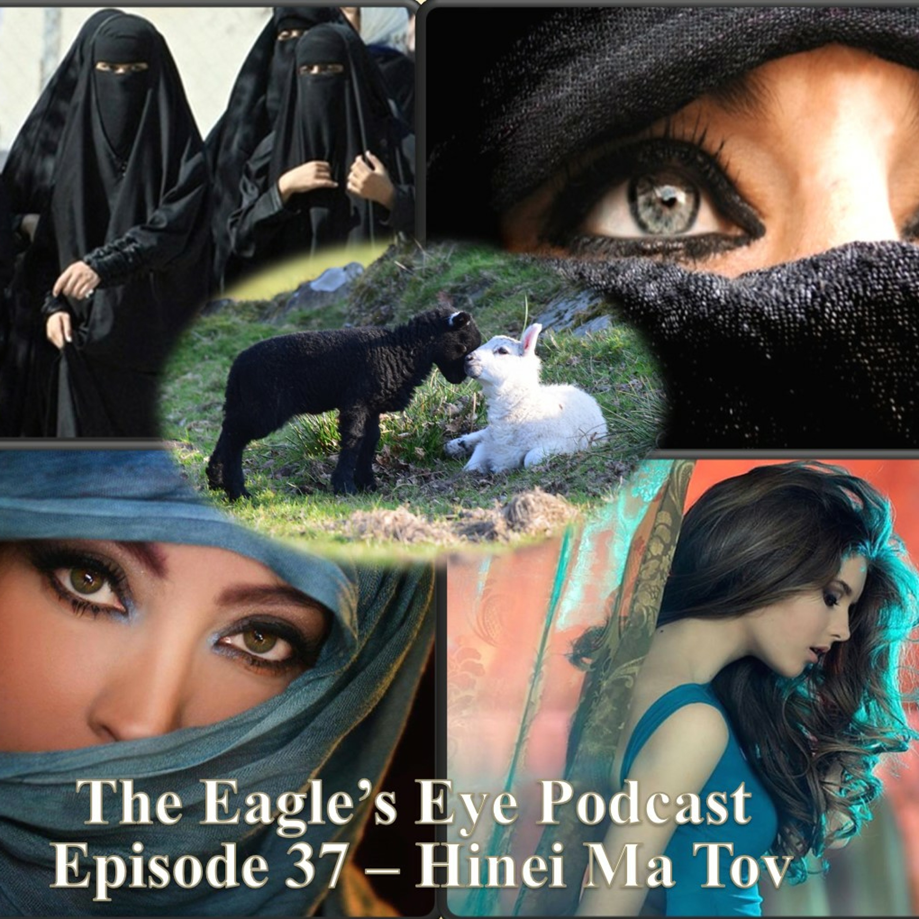 The Eagle\'s Eye Podcast