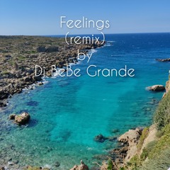 Feelings (remix)