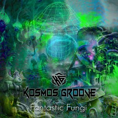 Kosmos Groove - Fantastic Fungi (Original Mix)